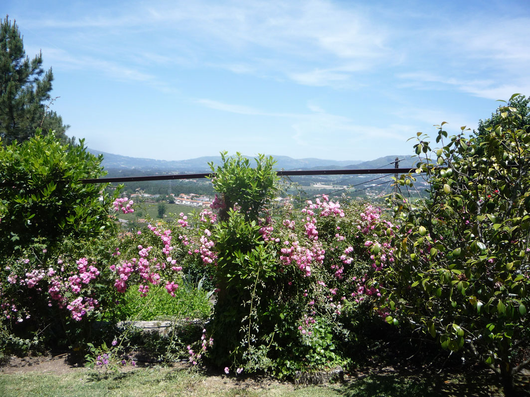 Casa do Alto - La casa y los jardines - Jardín con vistas al valle del río Cavado 01